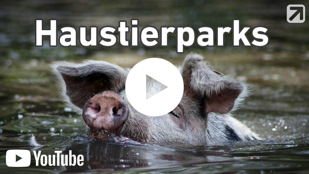 Vorschaubild - Die Bedeuttung von Haustierparks © Arche Warder, Lisa Iwon